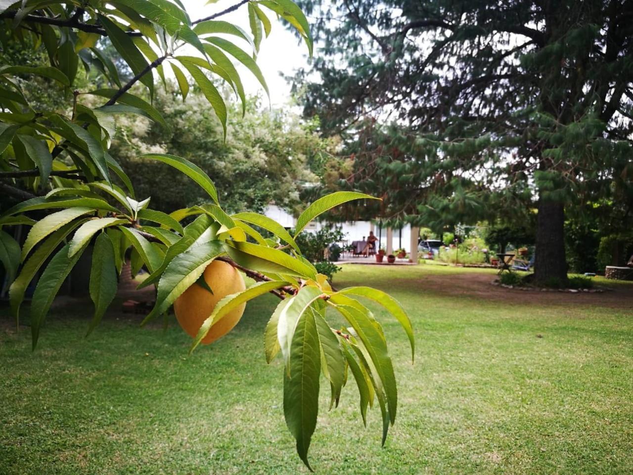 Villa El Mana Bialet Massé Exterior foto